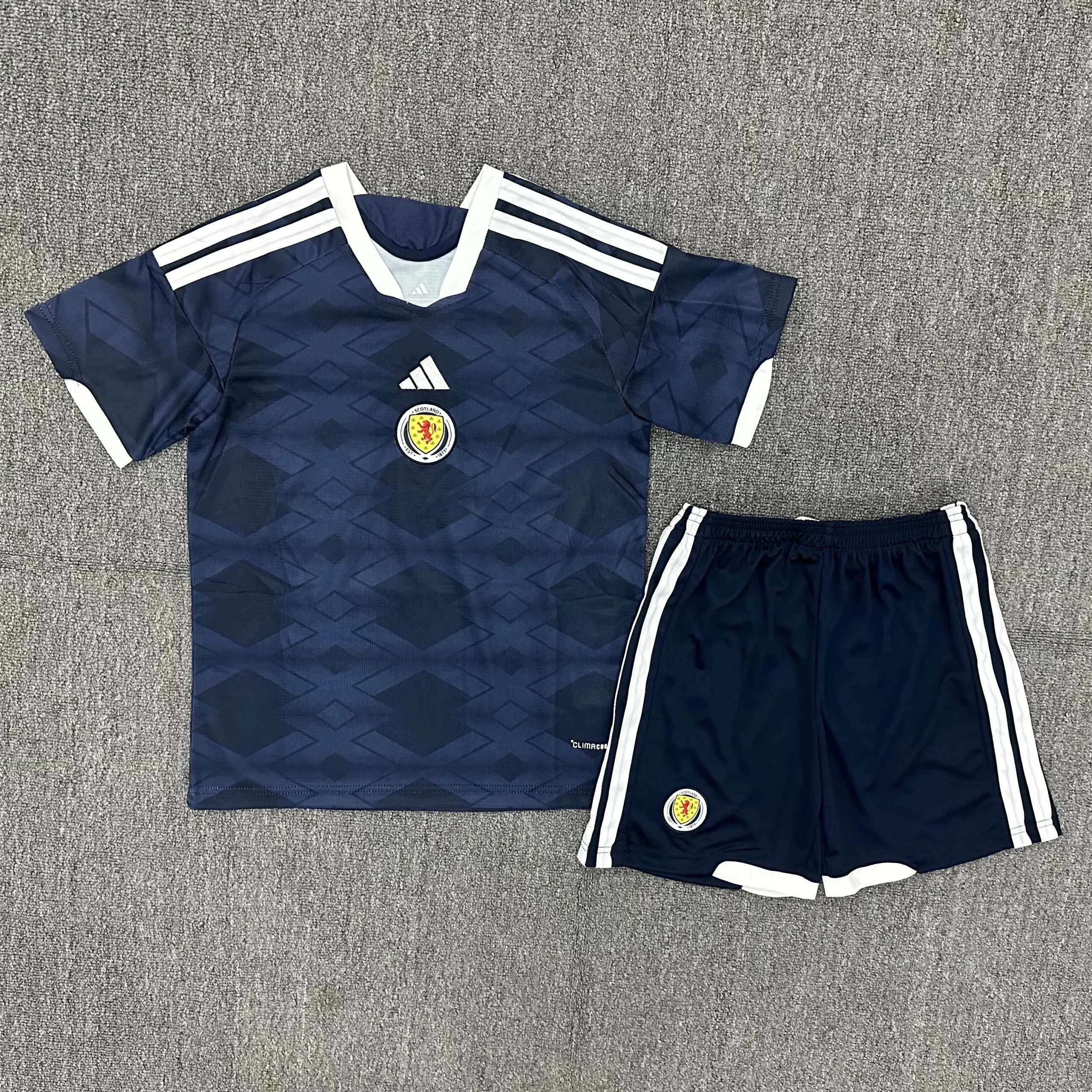 2026 Scotland National Team Home Football Shirt Kids Size