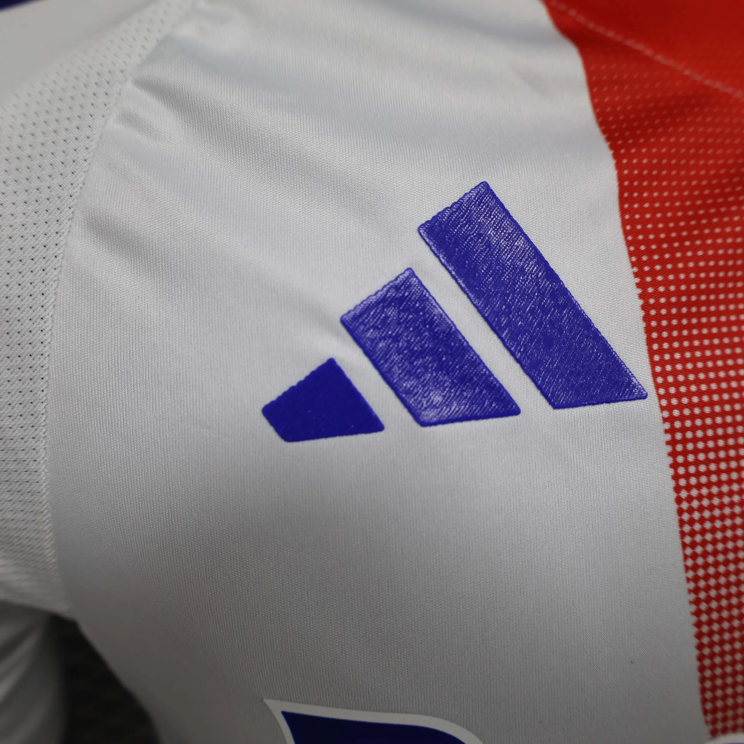 2024/2025 Player Version Lyon Home Football Shirt - 图片 4