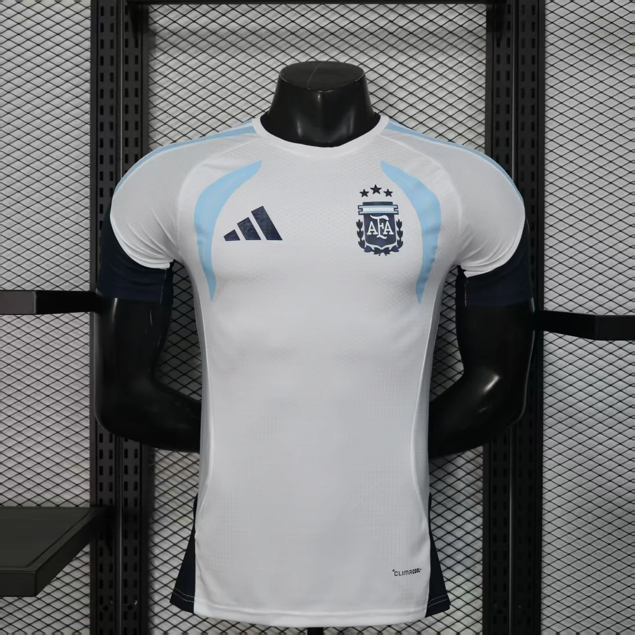 2026 Player Version Argentina Train Jersey