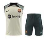 2023/2024 Barcelona Sleeveless Training Wear  Football Shirt